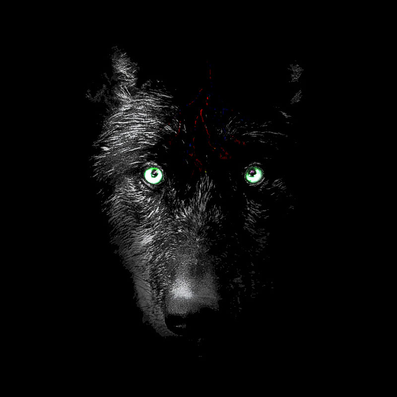 a bigger version of the Enlies website icon